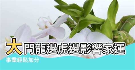 龍邊 虎邊 怎麼看|居家風水，客廳龍虎邊如何分辨和擺放